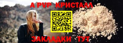 тгк Новодвинск