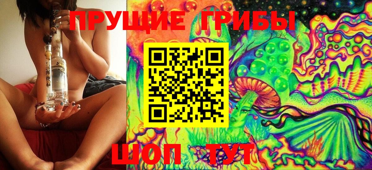 Псилоцибиновые грибы Psilocybine cubensis Сатка