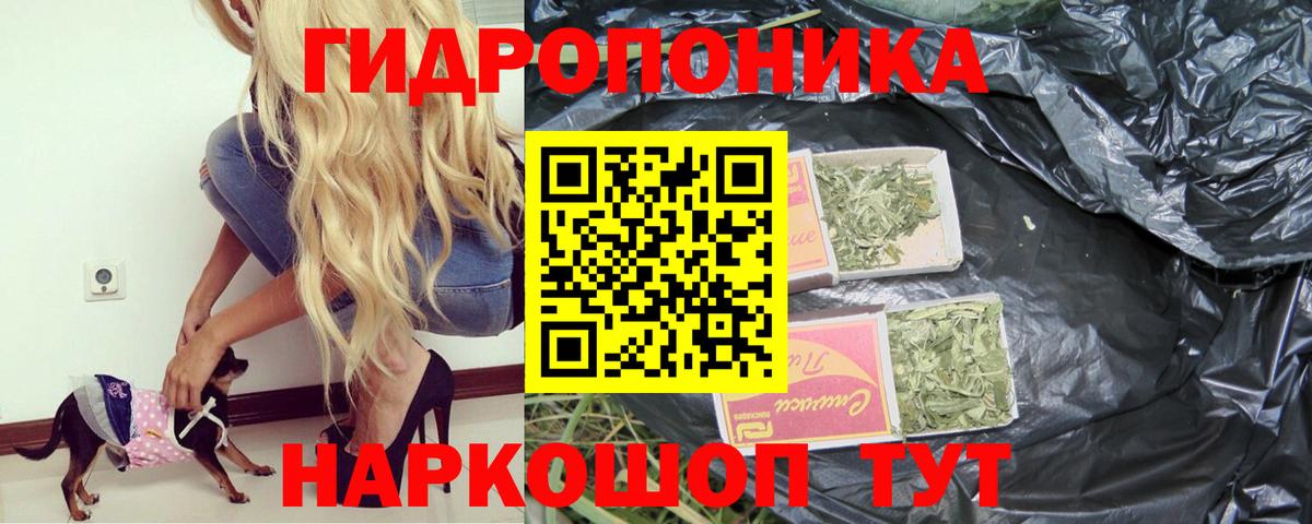 Конопля AK-47 Сатка