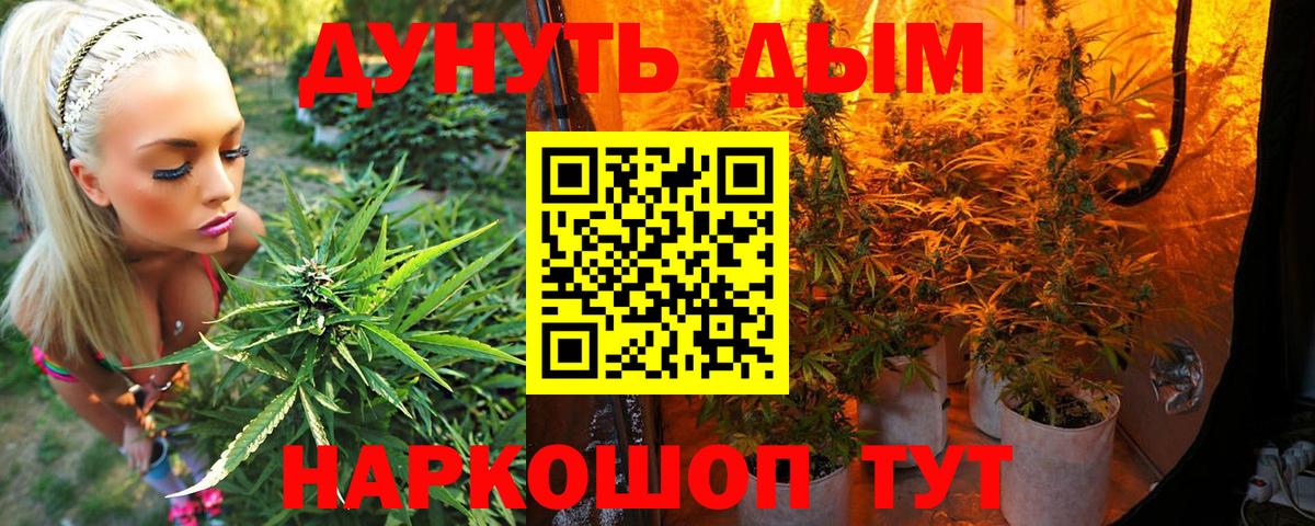 Бошки Шишки Bruce Banner  Каннабис конопля  Каннабис планчик  Сатка  Вход с VPN 